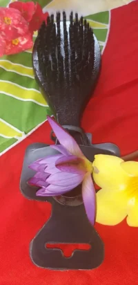 Brosse sanglier